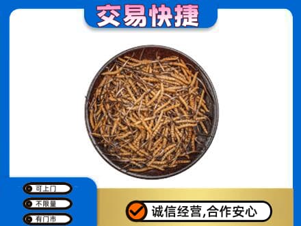 南充市阆中回收散虫草
