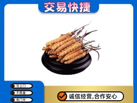 南充市阆中礼品回收散虫草.jpg